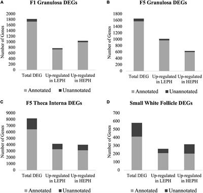 Transcriptome Analysis During Follicle Development in Turkey Hens With Low and High Egg Production